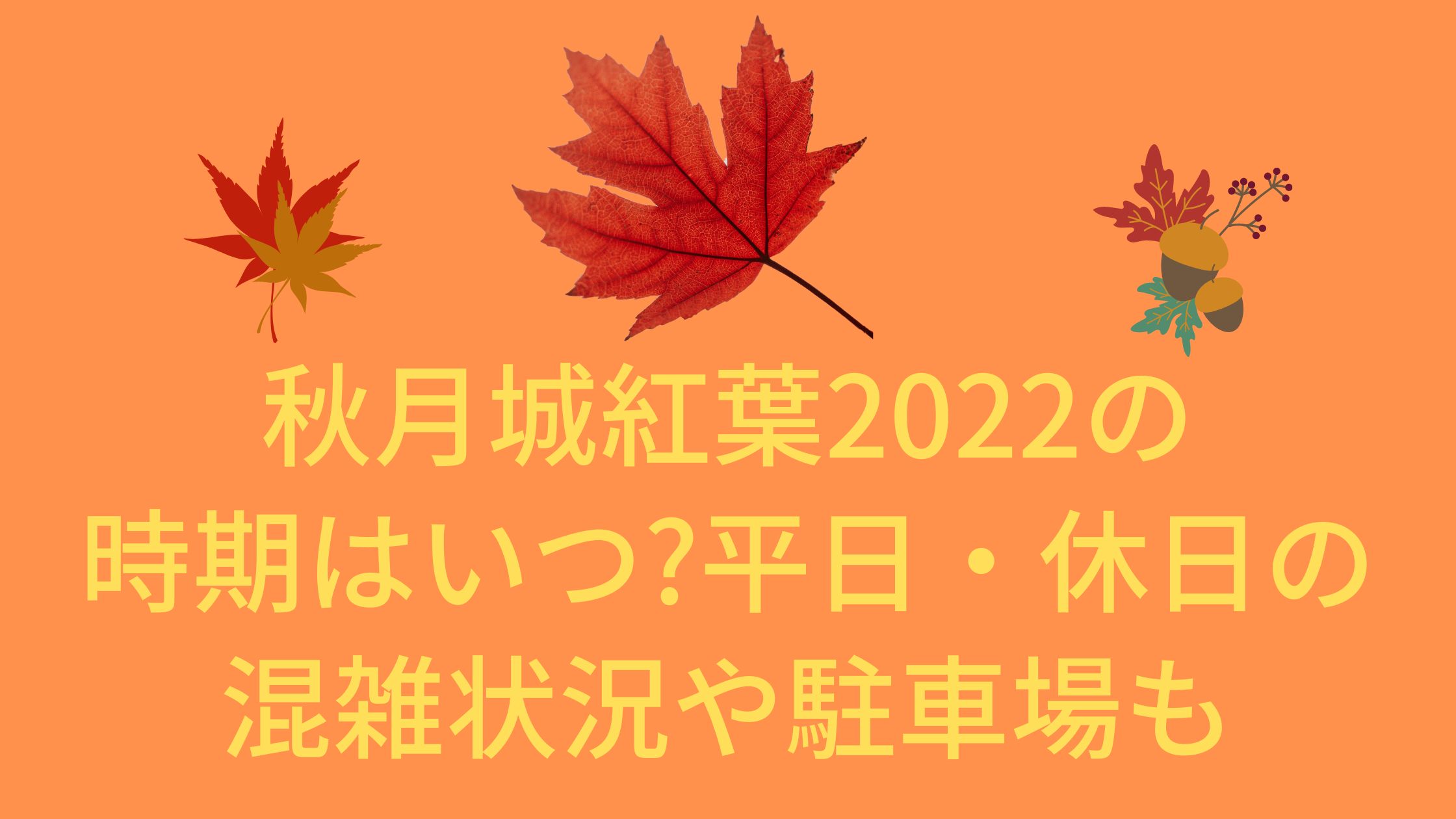 秋月城紅葉22の時期はいつ 平日 休日の混雑状況や駐車場も 混雑してる